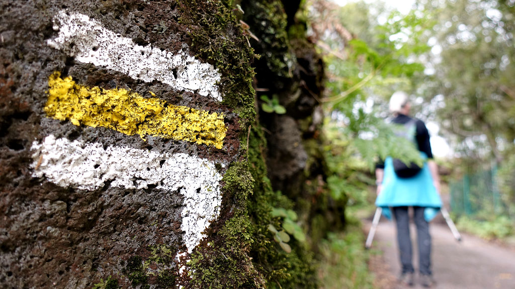 La Palma: 8. Von Brena Alta über die Cumbre nach El Paso