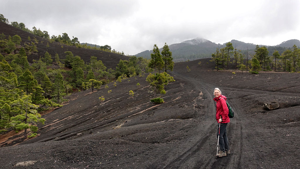 La Palma: 8. Von Brena Alta über die Cumbre nach El Paso