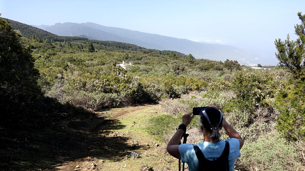 La Palma: 23. Von El Pilar um die Montana Caldero