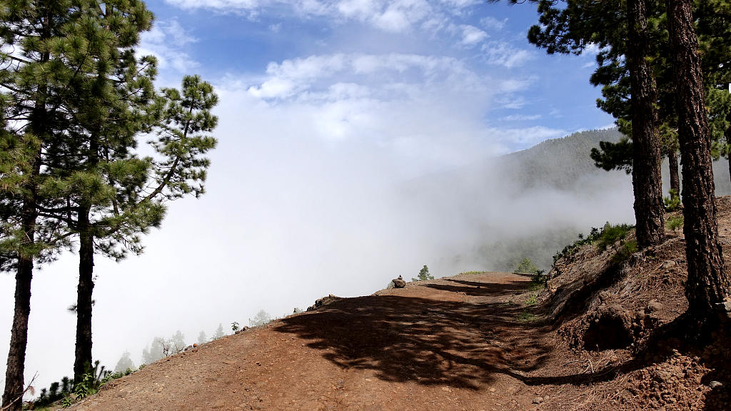 La Palma: 29. Von El Pinar zum Torre del Time