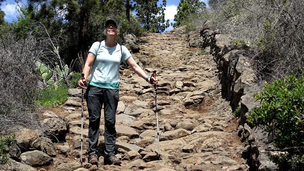 La Palma: 29. Von El Pinar zum Torre del Time