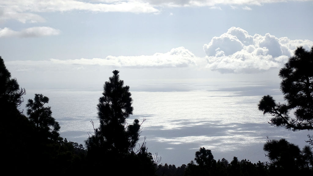 La Palma: 7. Von Jedey zum Hoyo de la Sima