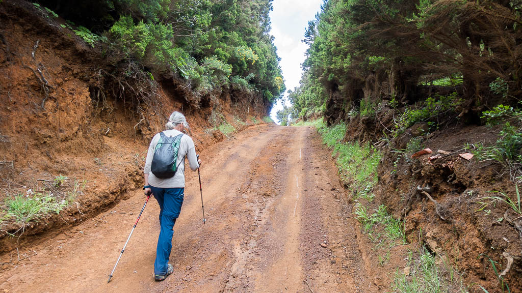 La Palma: 32. Von Roque Faro nach Santo Domingo