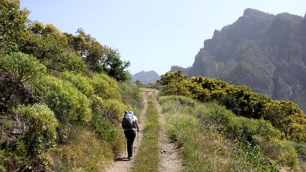 La Palma: 24. Zwei Tage in der Caldera de Taburiente