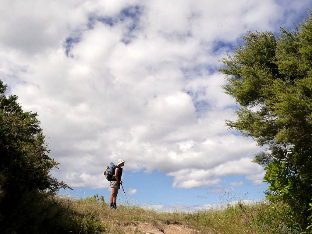 Great Walks Neuseeland: 7. Abel Tasman Inland Track