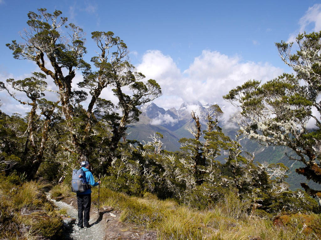 Great Walks Neuseeland: 12. Routeburn Track und Greenstone Track