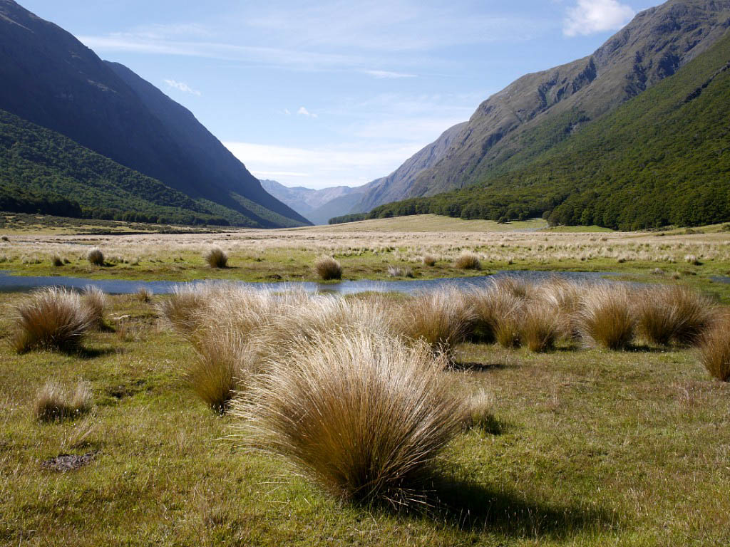 Great Walks Neuseeland: 12. Routeburn Track und Greenstone Track