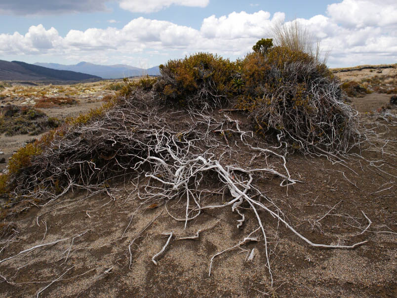 Great Walks Neuseeland: 2. Tongariro Northern Circuit