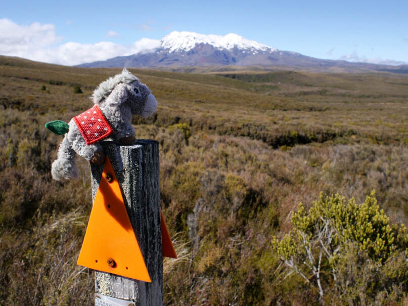 Great Walks Neuseeland: 2. Tongariro Northern Circuit