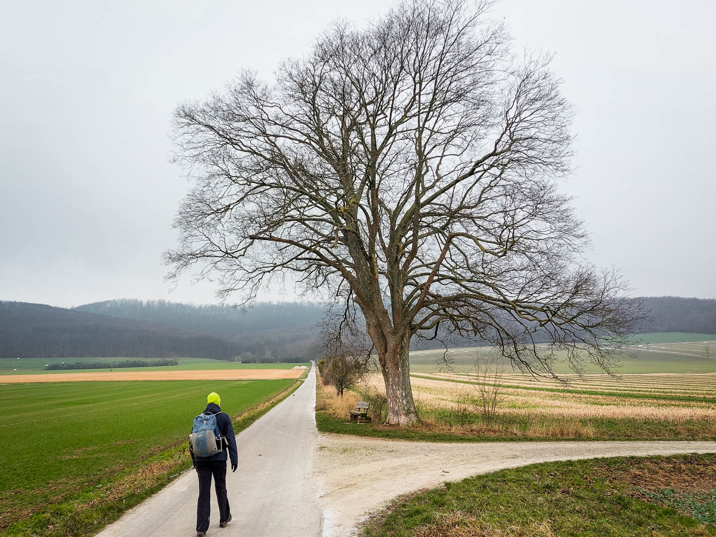 Schneewanderung: Ith-Hils-Weg