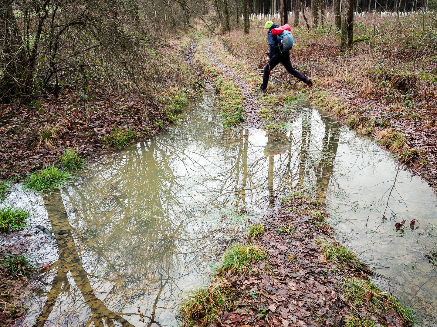 Schneewanderung: Ith-Hils-Weg