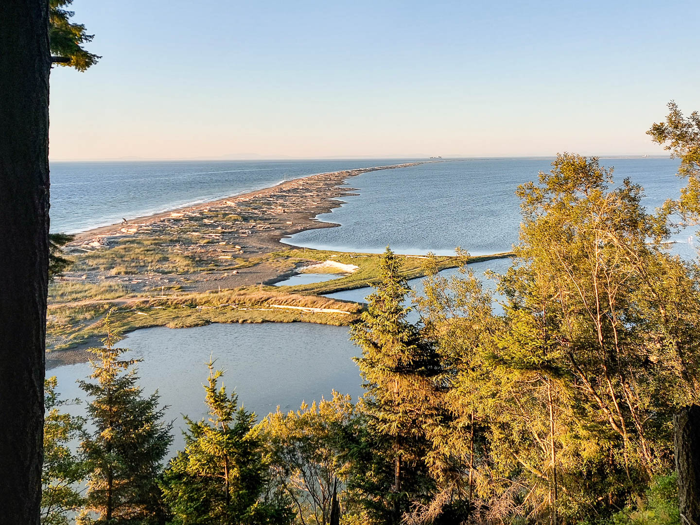 Olympic National Park: 1. Dungeness Spit, Soleduck Trail und Hurricane Ridge