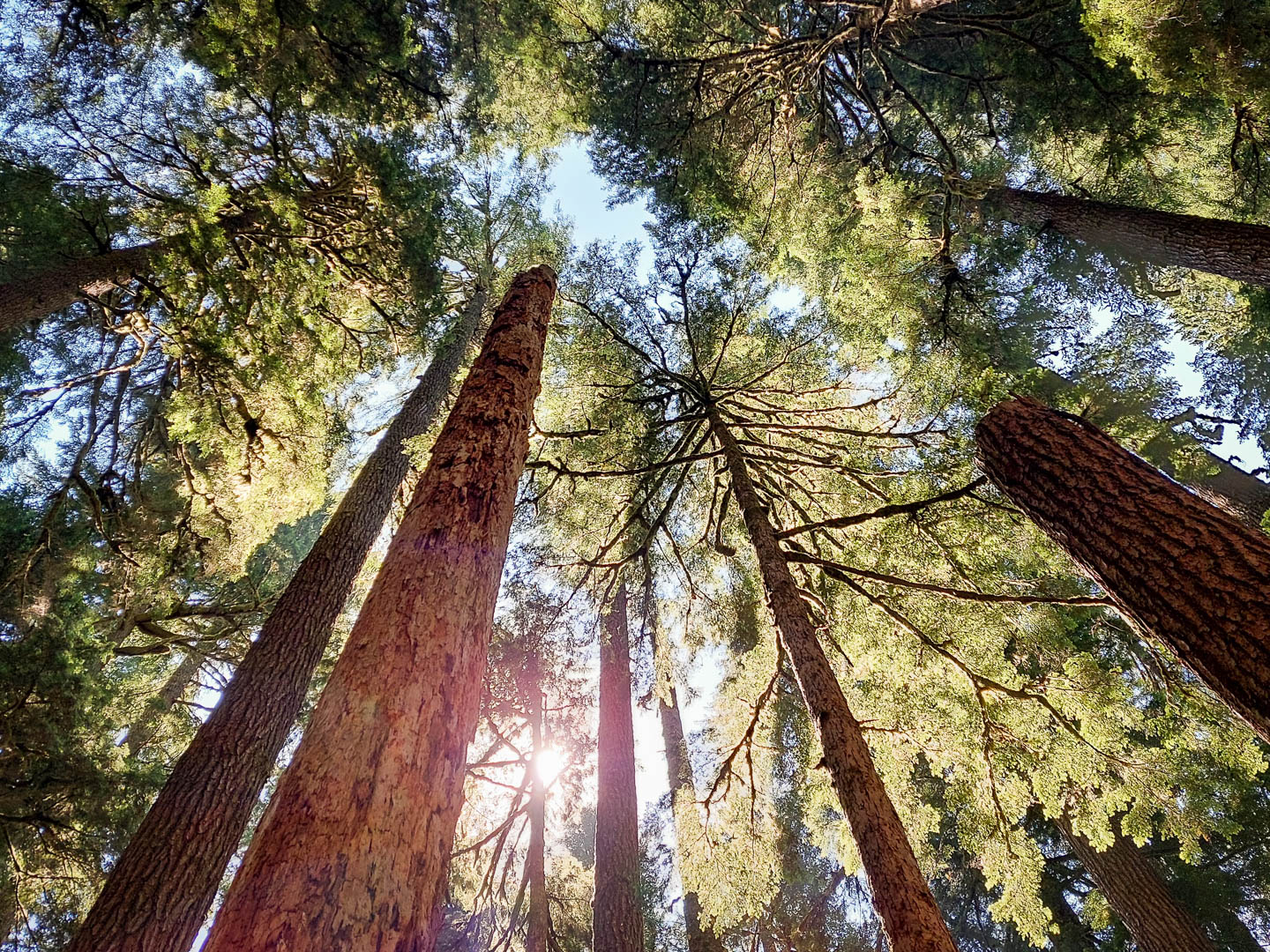 Olympic National Park: 1. Dungeness Spit, Soleduck Trail und Hurricane Ridge