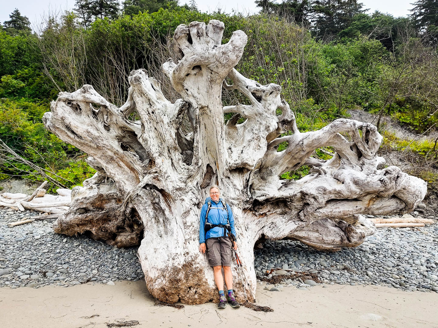 Olympic National Park: 3. Vom Third Beach zum Mosquito Creek