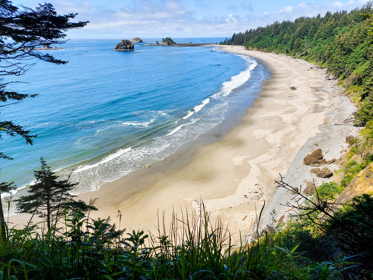 Olympic National Park: 3. Vom Third Beach zum Mosquito Creek