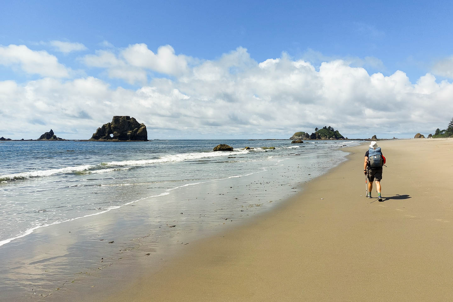 Olympic National Park: 3. Vom Third Beach zum Mosquito Creek