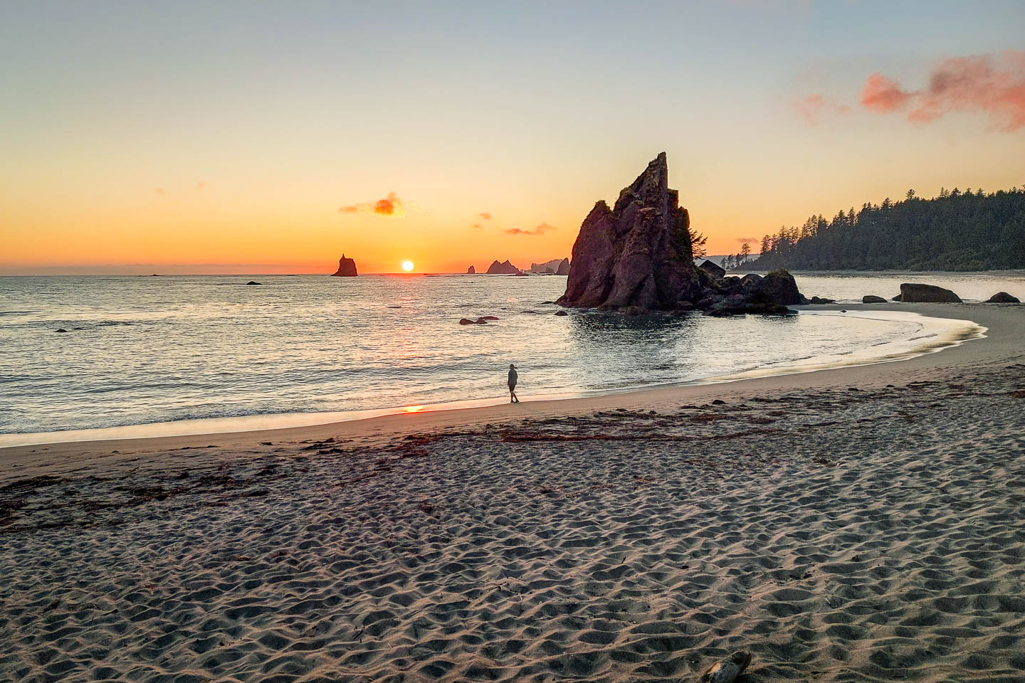 Olympic National Park: 3. Vom Third Beach zum Mosquito Creek