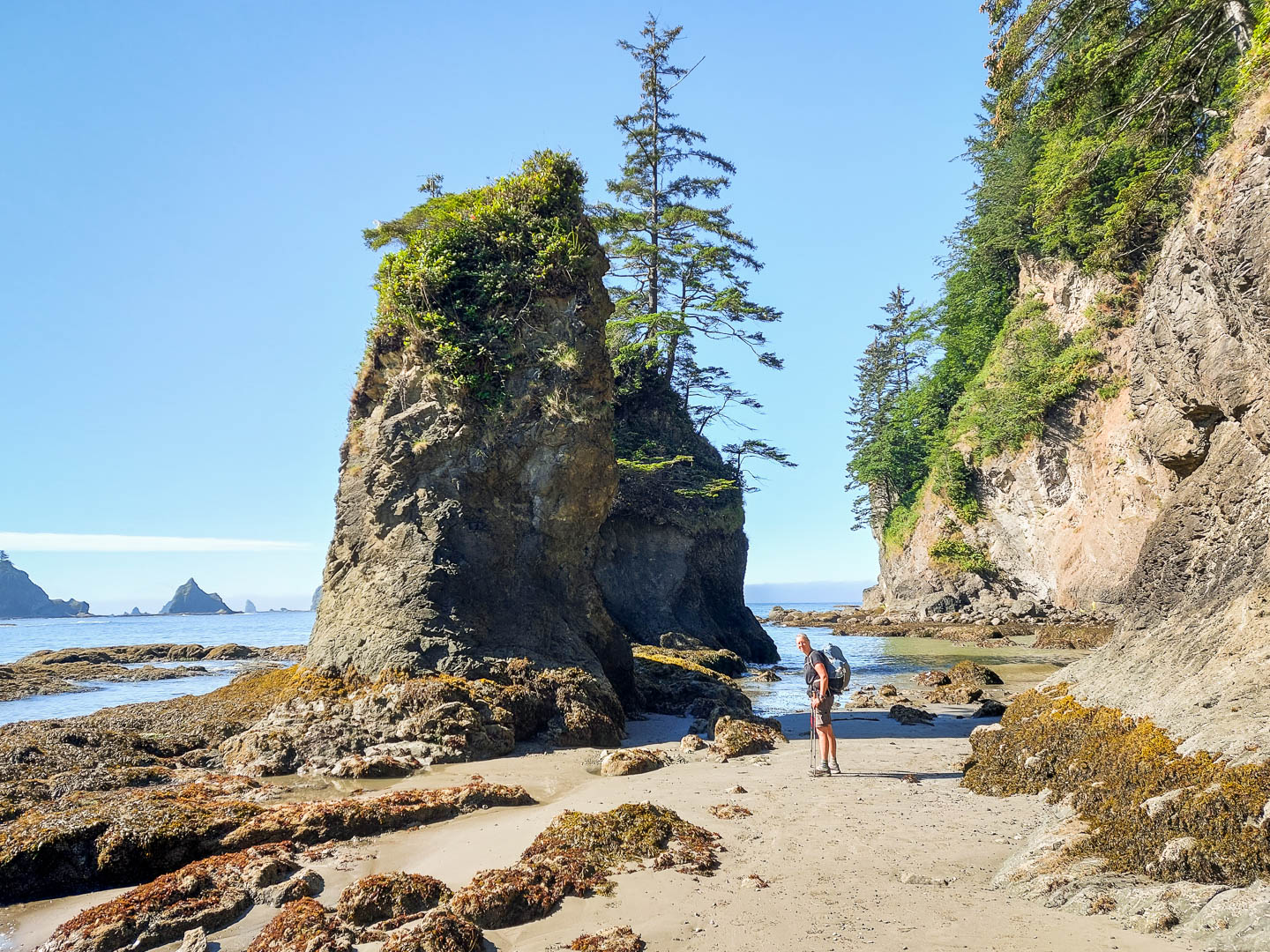 Olympic National Park: 3. Vom Third Beach zum Mosquito Creek