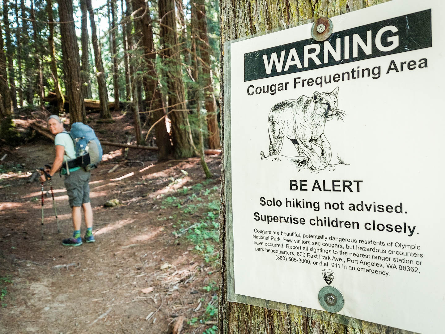 Olympic National Park: 2. Vier Tage Wandern am Elwah River