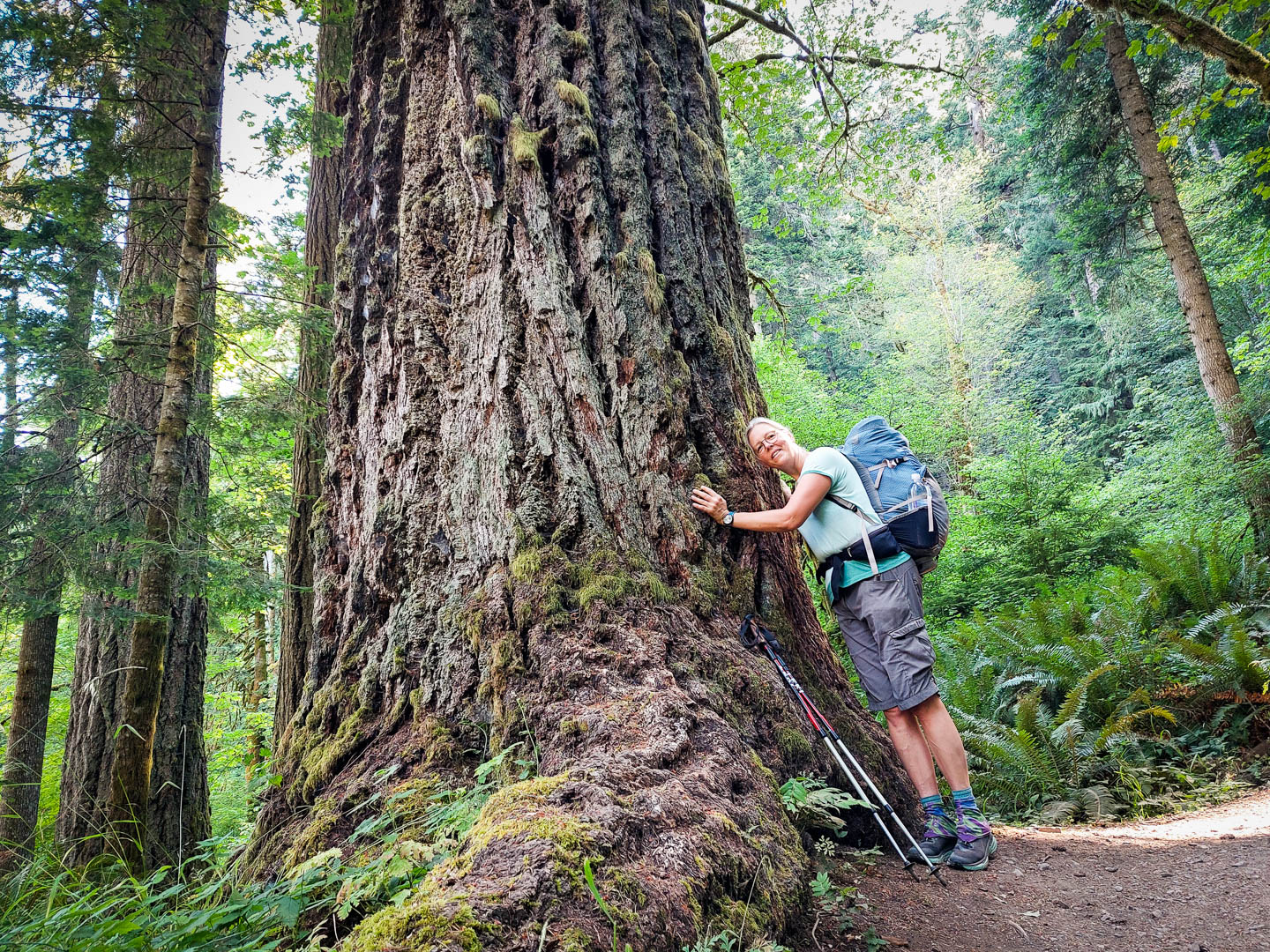 Olympic National Park: 2. Vier Tage Wandern am Elwah River