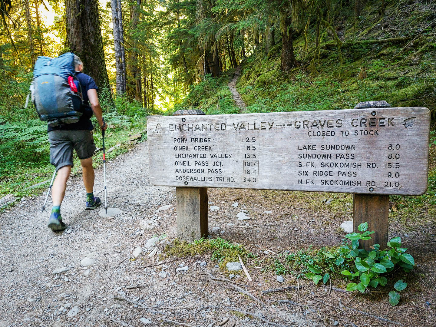 Olympic National Park: 5. Zwei Tage Wandern im Enchanted Valley