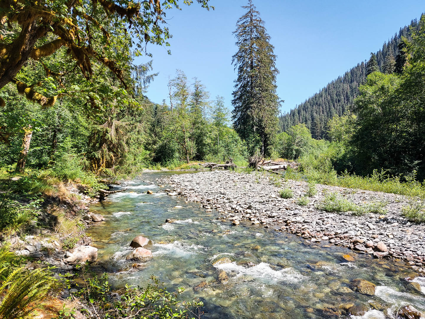 Olympic National Park: 5. Zwei Tage Wandern im Enchanted Valley