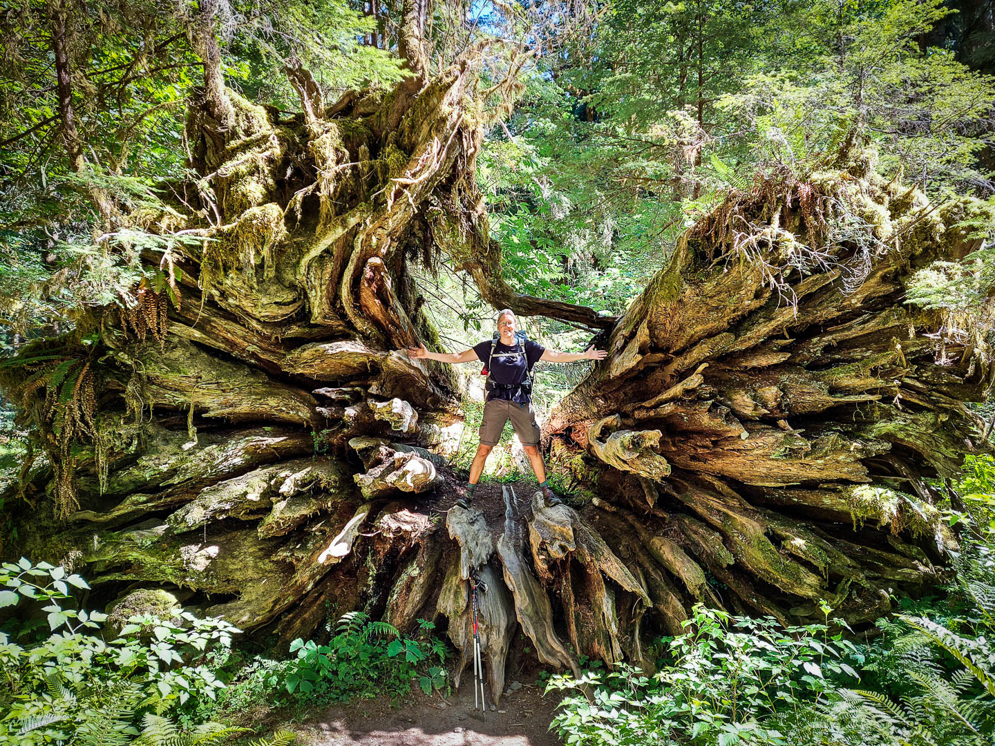 Olympic National Park: 5. Zwei Tage Wandern im Enchanted Valley