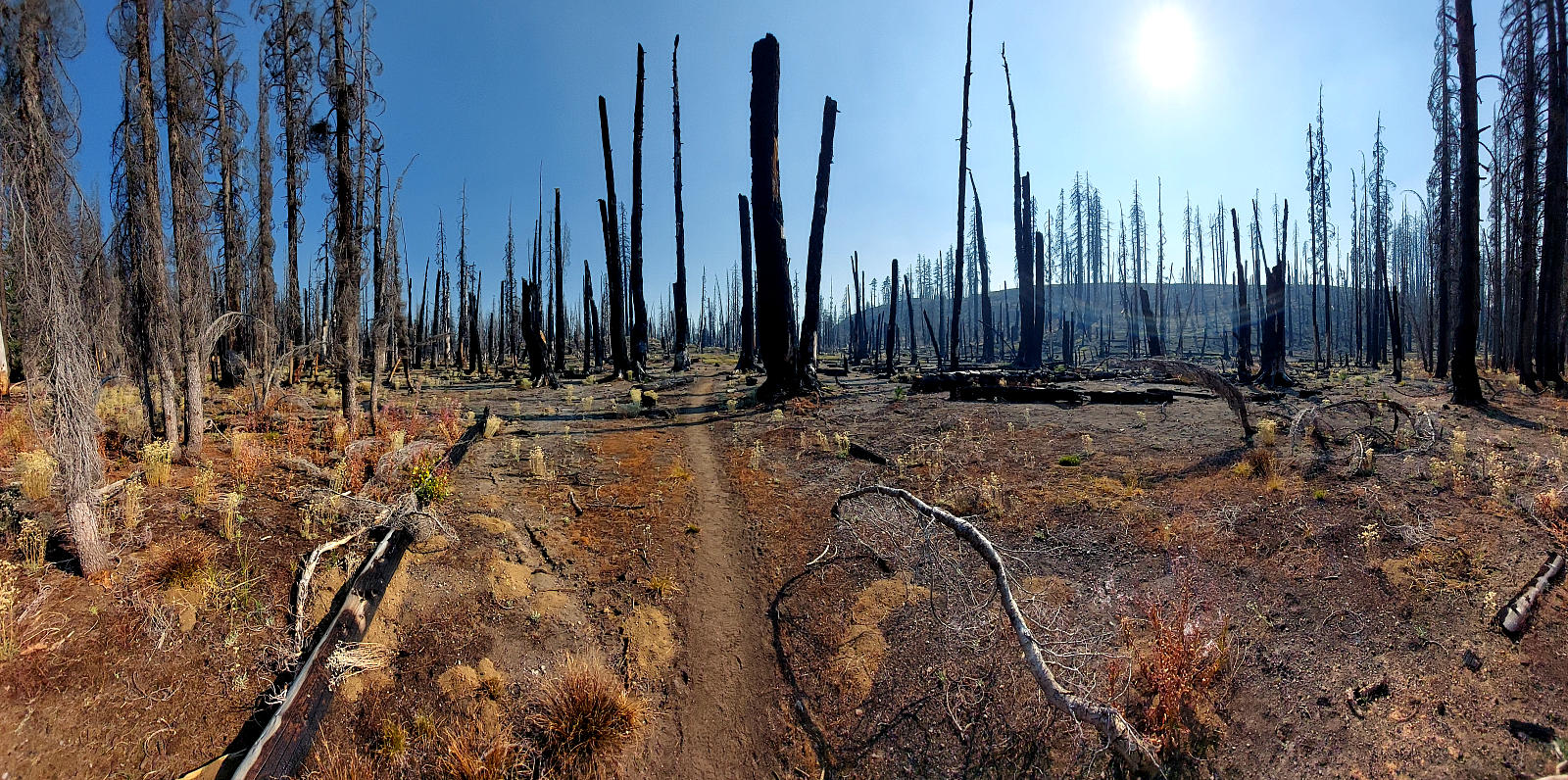 Pacific Crest Trail: 12. Vom Crater Lake zum Fish Lake