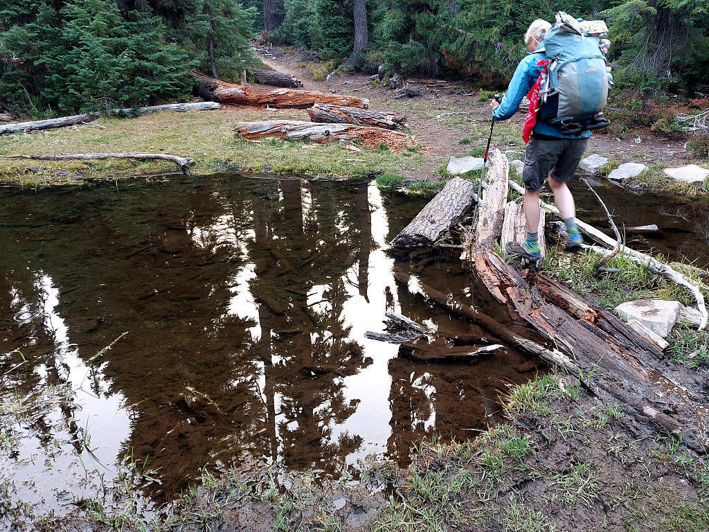 Pacific Crest Trail: 12. Vom Crater Lake zum Fish Lake