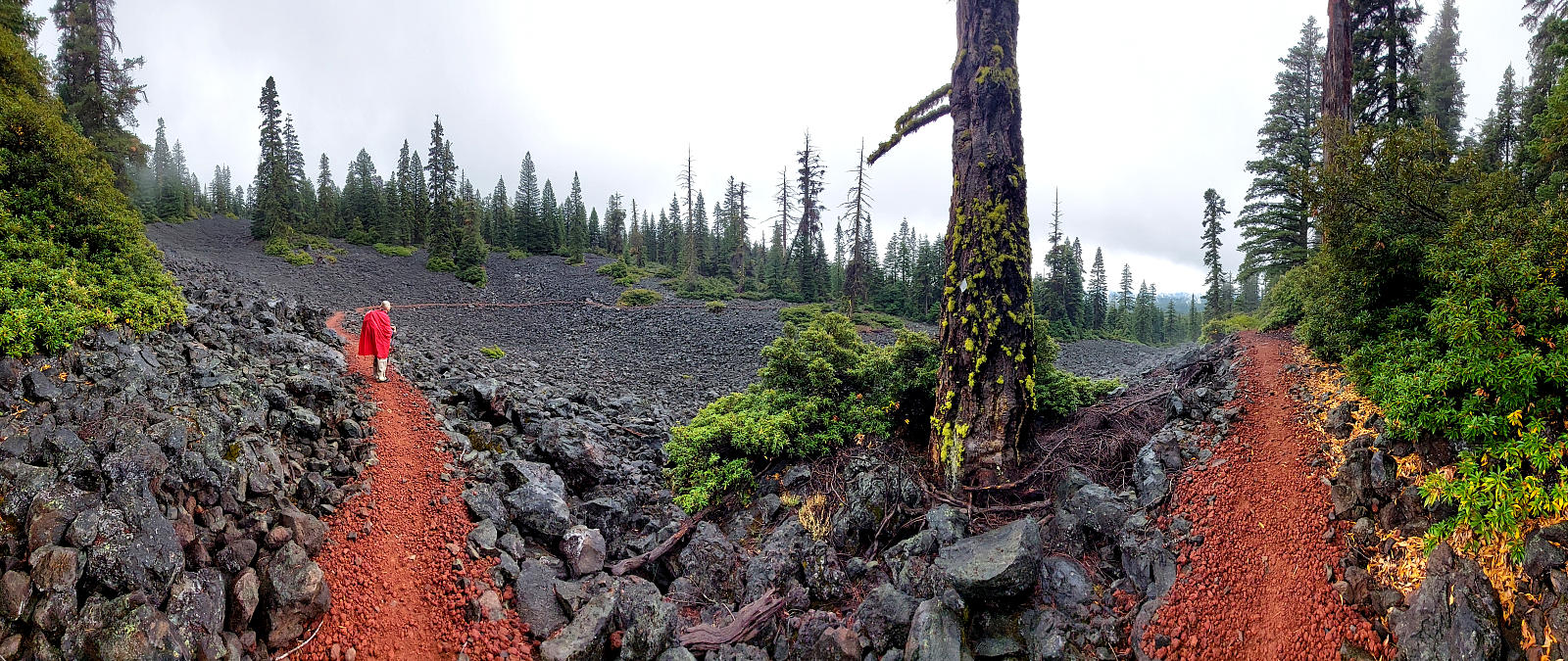 Pacific Crest Trail: 13. Vom Fish Lake nach Ashland