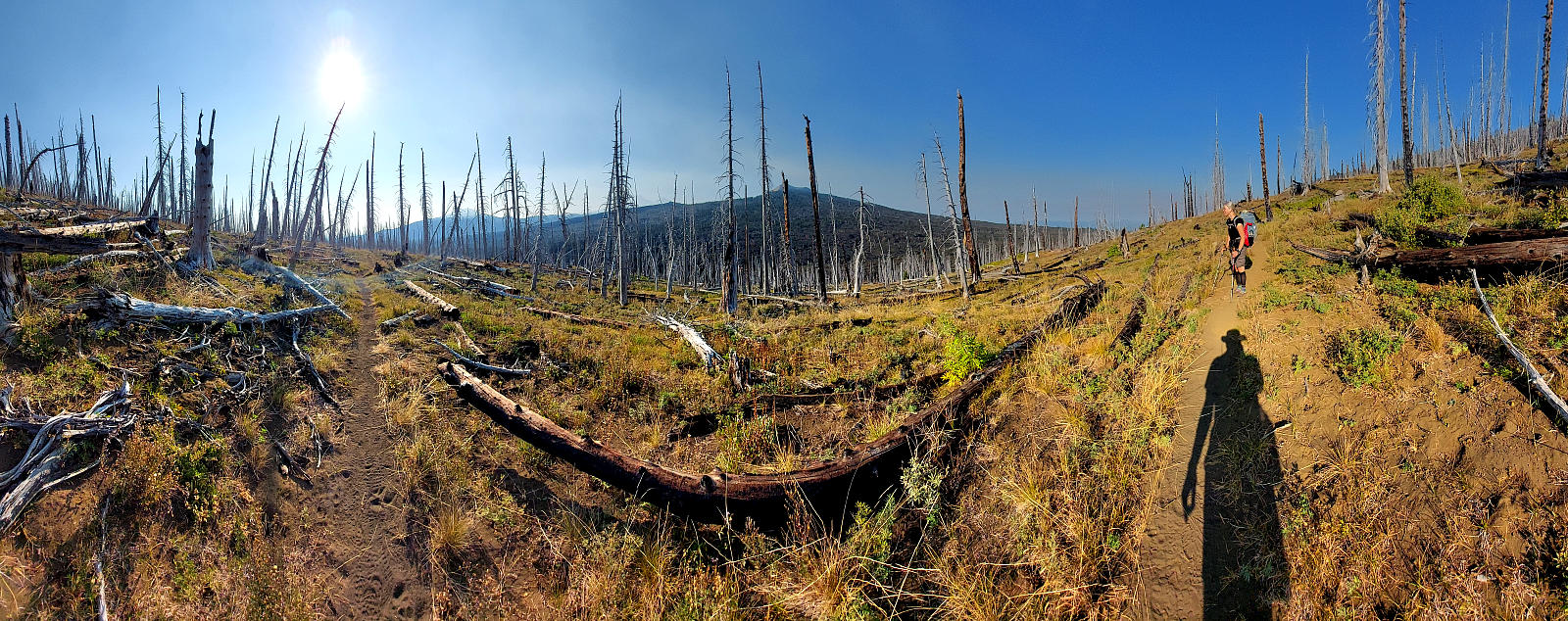 Pacific Crest Trail: 10. Vom Santiam Pass nach Shelter Cove