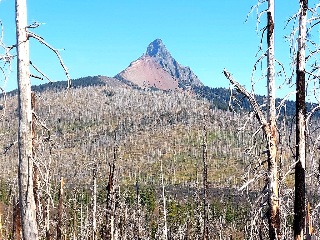 Pacific Crest Trail: 10. Vom Santiam Pass nach Shelter Cove