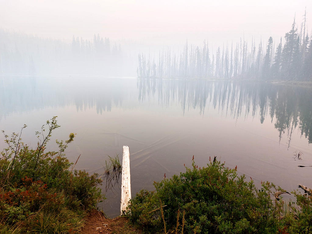 Pacific Crest Trail: 10. Vom Santiam Pass nach Shelter Cove