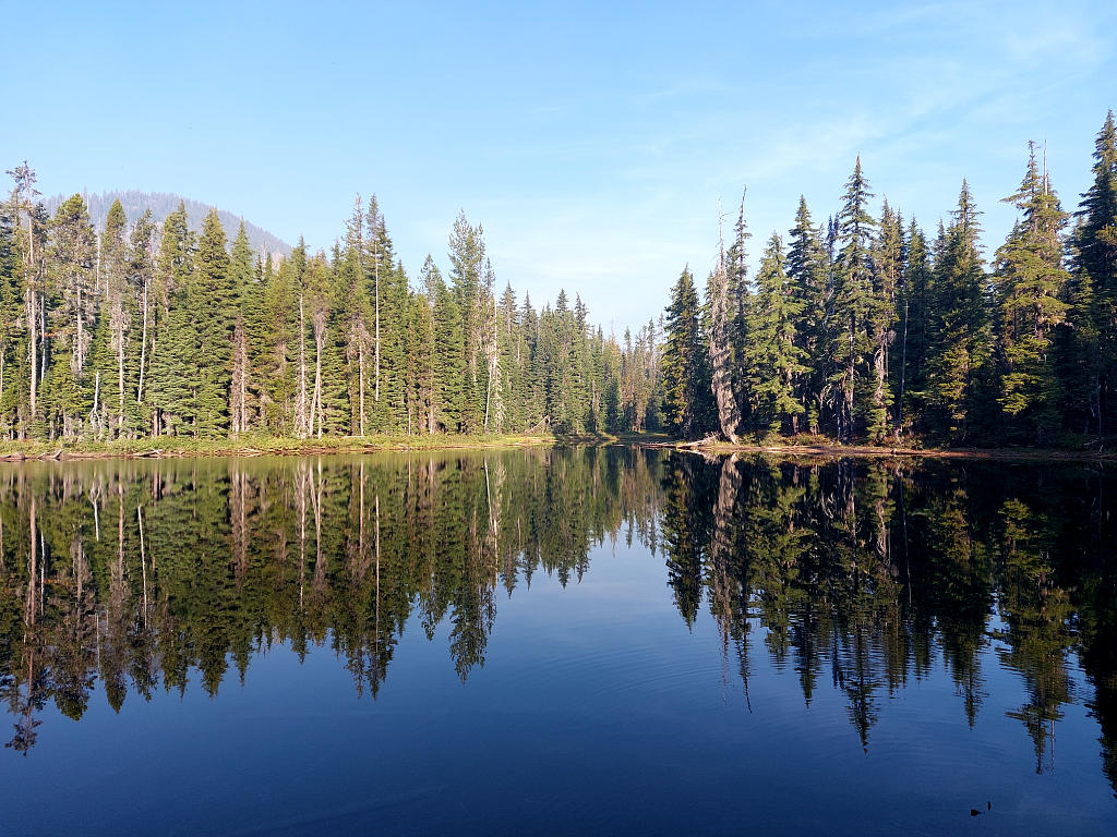 Pacific Crest Trail: 10. Vom Santiam Pass nach Shelter Cove