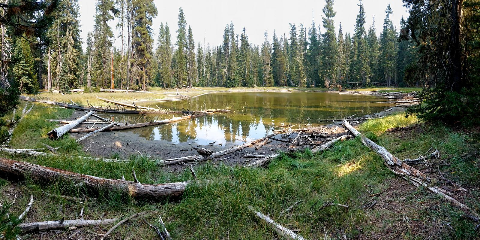 Pacific Crest Trail: 10. Vom Santiam Pass nach Shelter Cove