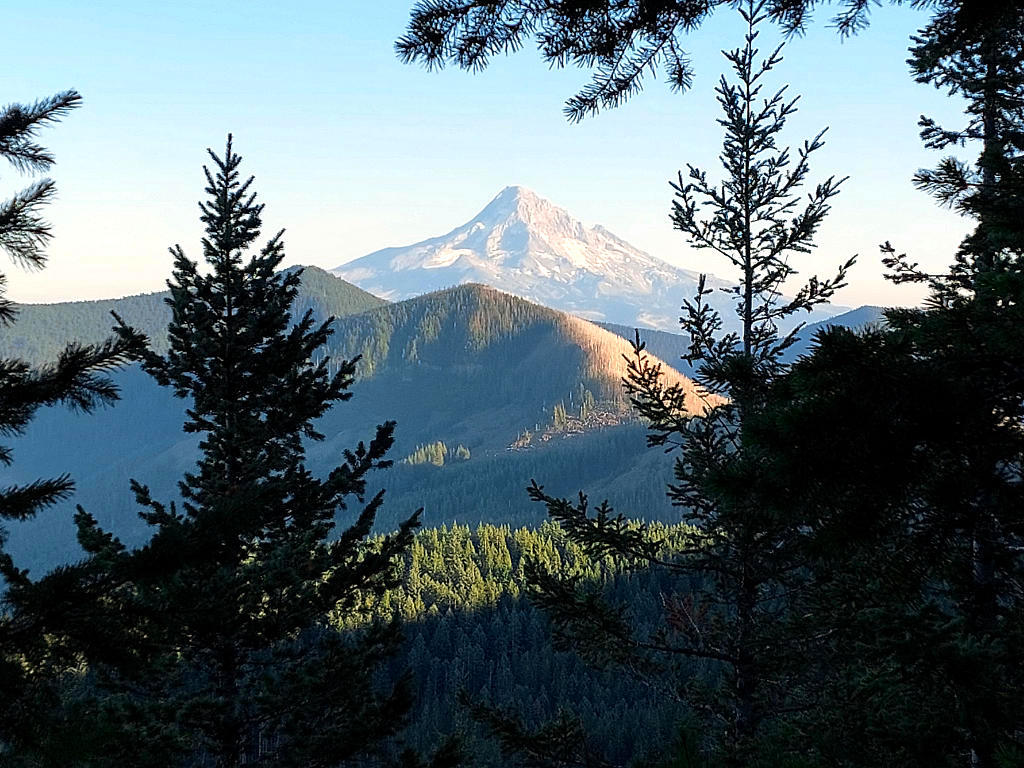 Pacific Crest Trail: 8. Von Cascade Locks zur Timberline Lodge