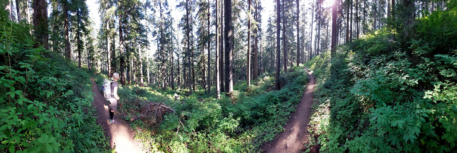 Pacific Crest Trail: 8. Von Cascade Locks zur Timberline Lodge