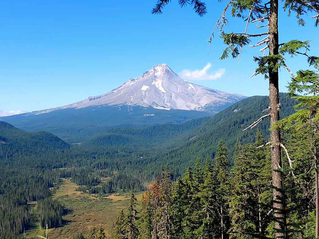 Pacific Crest Trail: 9. Von der Timberline Lodge zum Olallie Lake