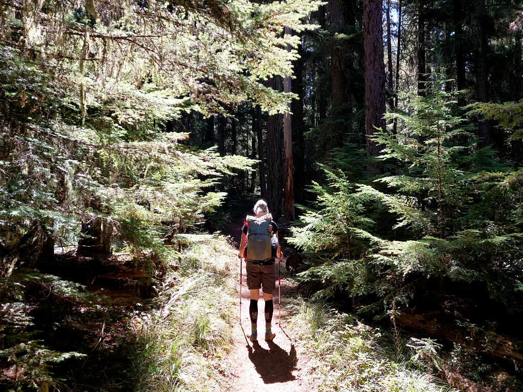 Pacific Crest Trail: 9. Von der Timberline Lodge zum Olallie Lake