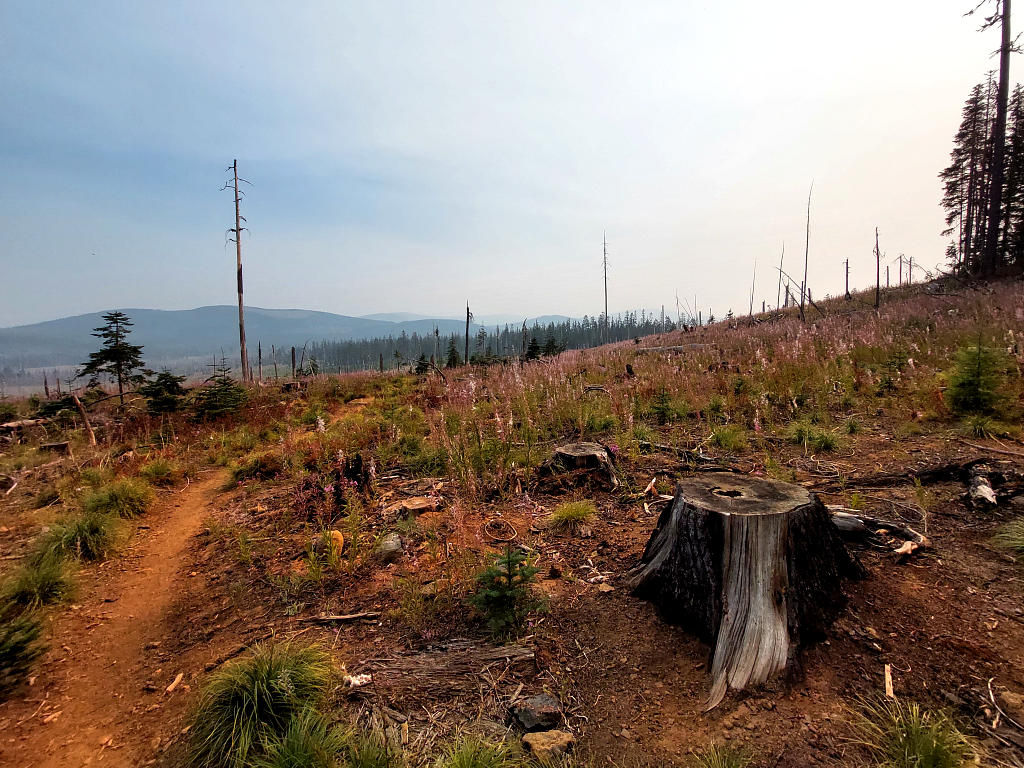 Pacific Crest Trail: 9. Von der Timberline Lodge zum Olallie Lake