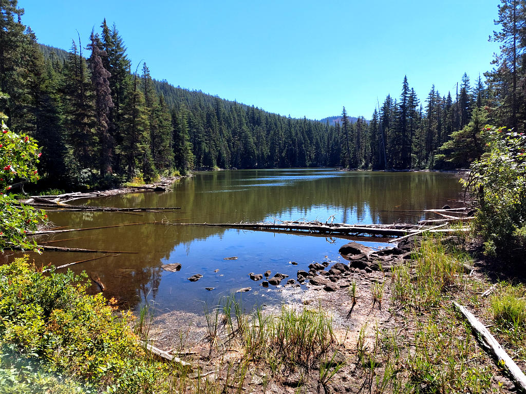 Pacific Crest Trail: 9. Von der Timberline Lodge zum Olallie Lake