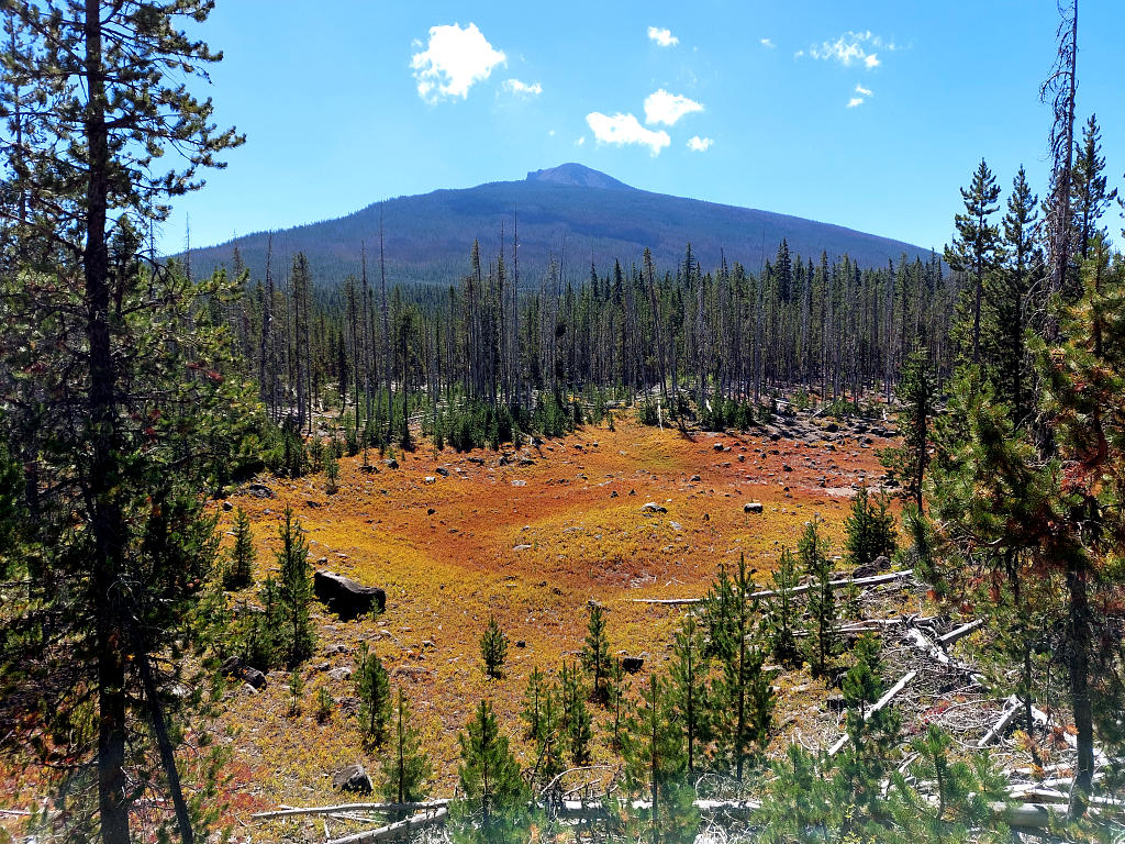 Pacific Crest Trail: 9. Von der Timberline Lodge zum Olallie Lake