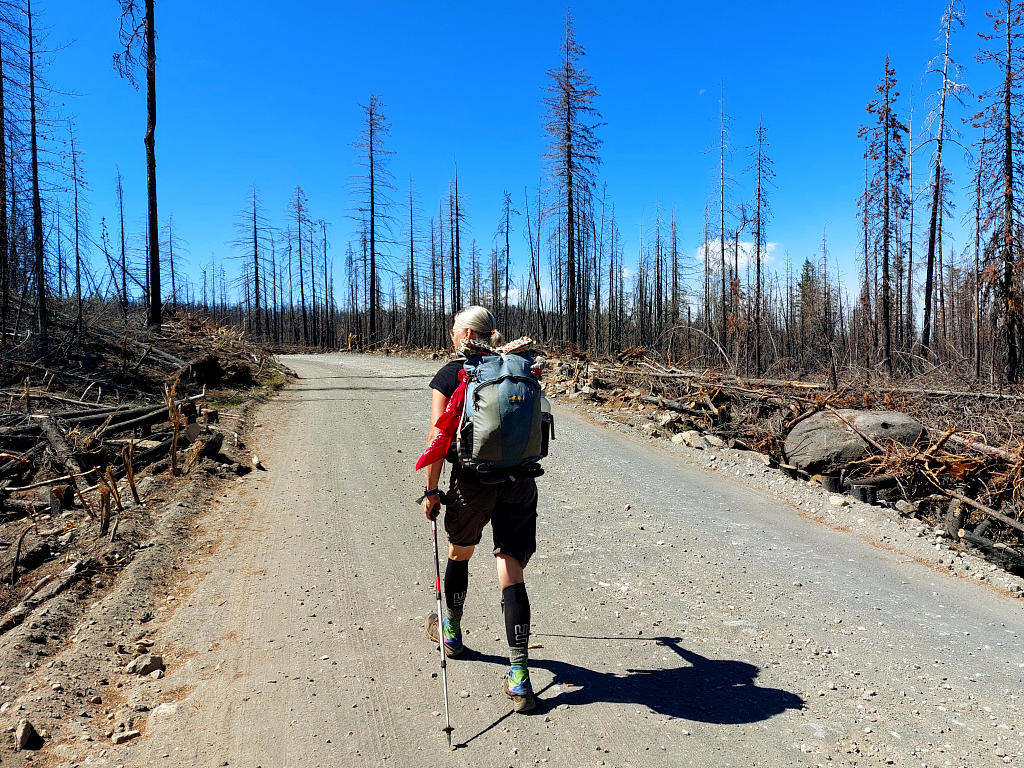 Pacific Crest Trail: 9. Von der Timberline Lodge zum Olallie Lake