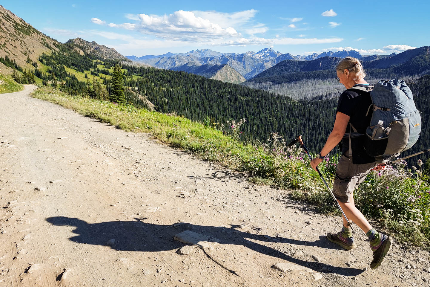 Pacific Crest Trail: 18. Von Harts Pass zur kanadischen Grenze