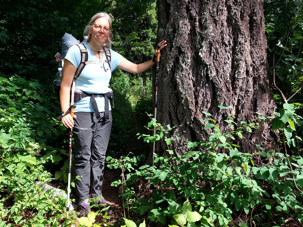 Pacific Crest Trail: 2. Von Rainy Pass nach Stehekin