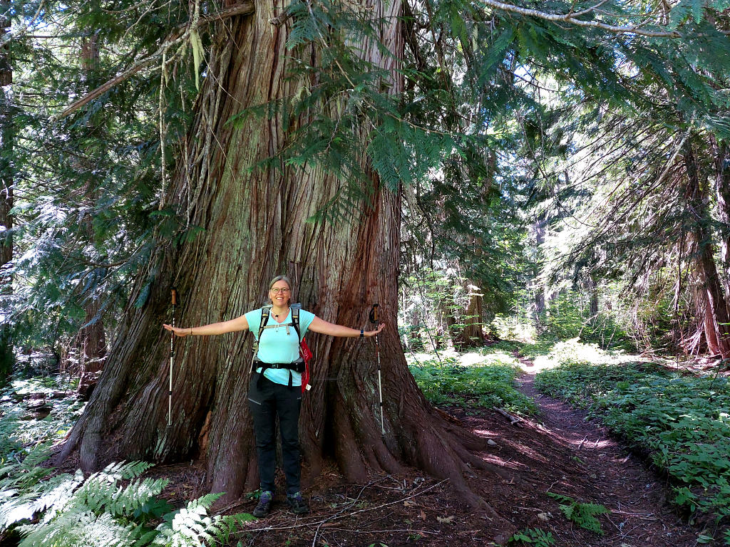 Pacific Crest Trail: 2. Von Rainy Pass nach Stehekin