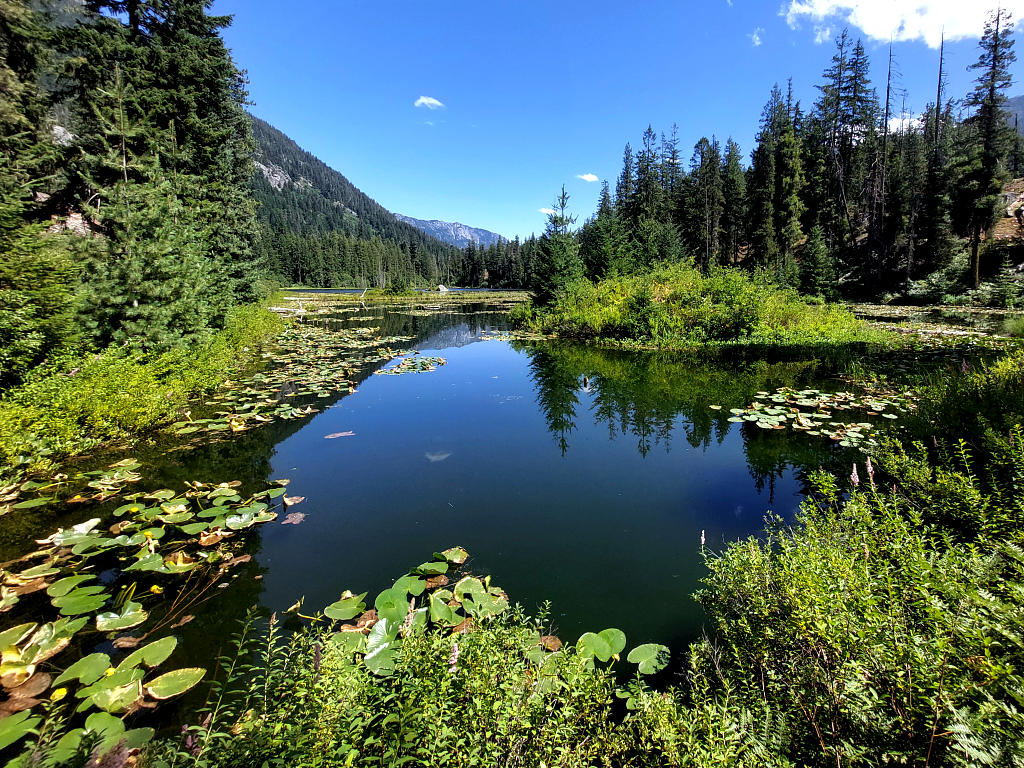 Pacific Crest Trail: 2. Von Rainy Pass nach Stehekin