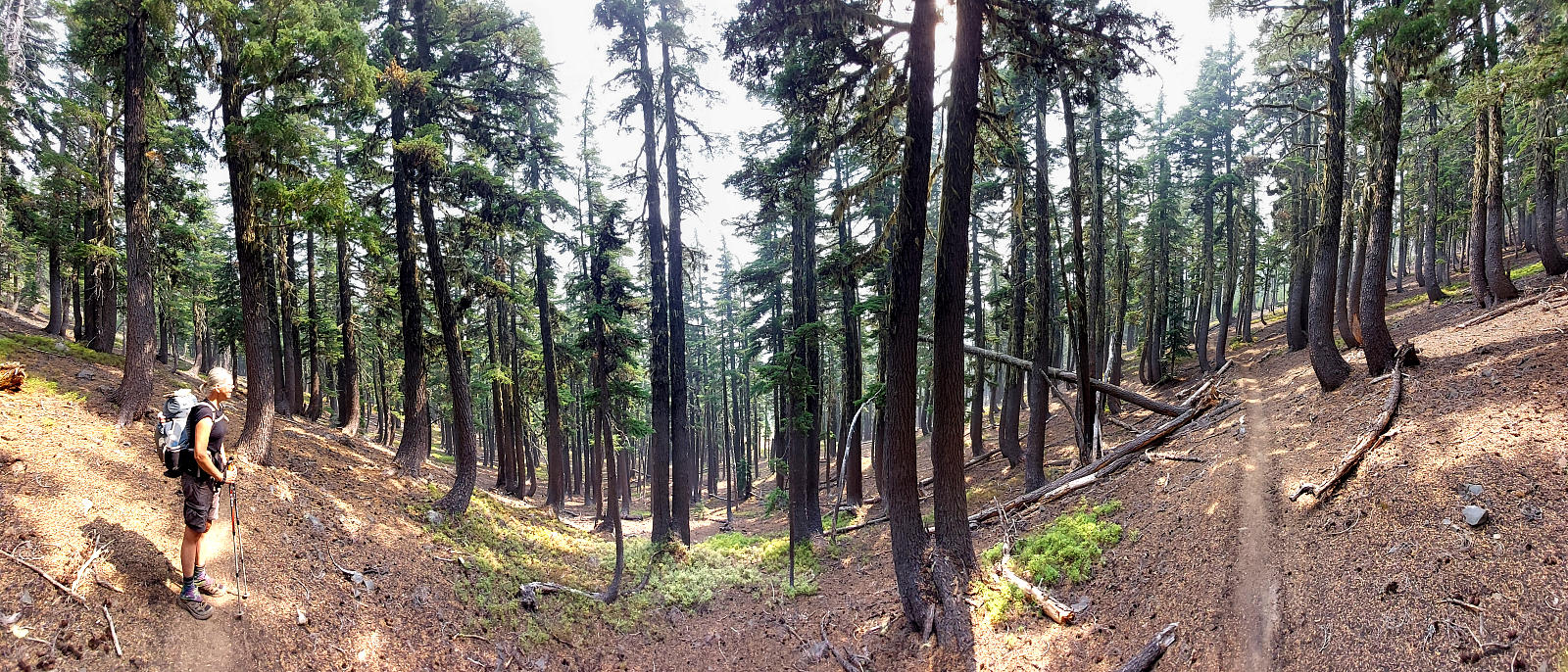 Pacific Crest Trail: 11. Von Shelter Cove zum Crater Lake