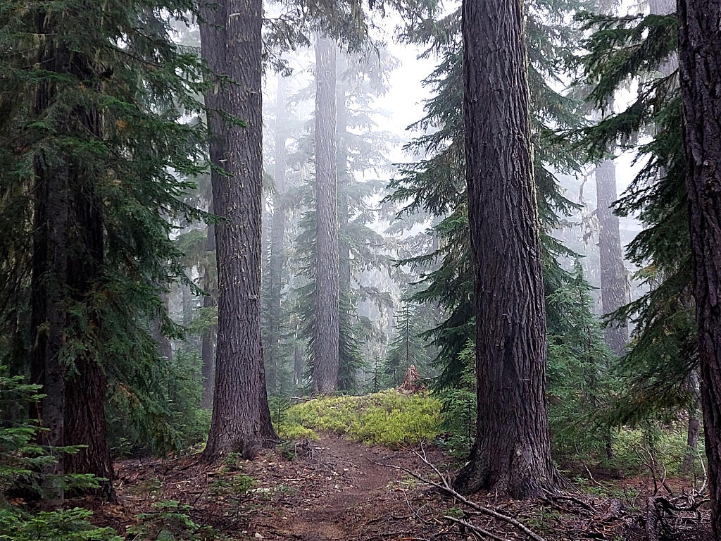 Pacific Crest Trail: 11. Von Shelter Cove zum Crater Lake