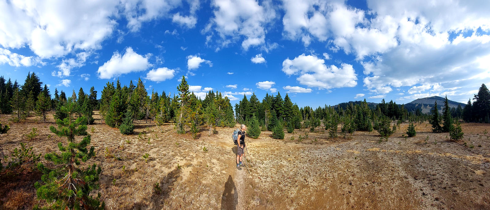 Pacific Crest Trail: 11. Von Shelter Cove zum Crater Lake